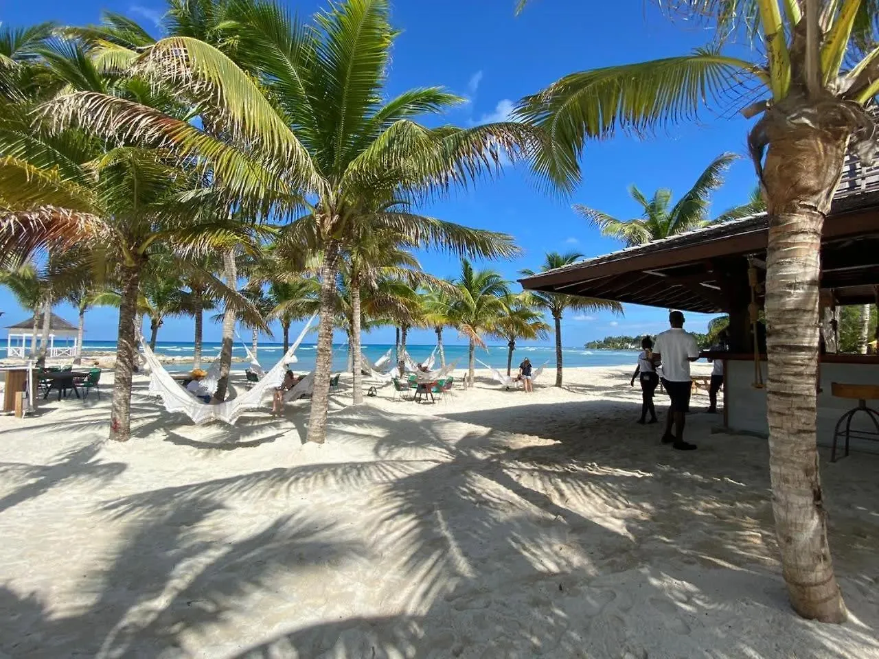 Hospitality Expert Bts 4 - Pool Beach & Bar Montego Bay